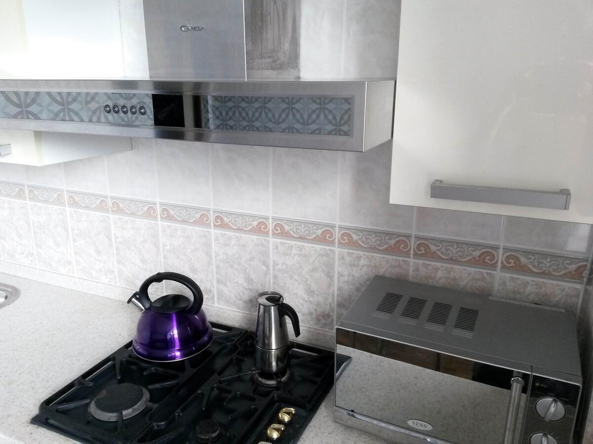 "Картина Горных Вершин" Квартира- "Mountain View" Apartment アルマトイ エクステリア 写真
