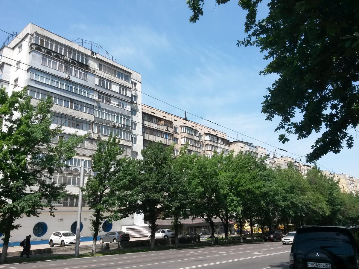 "Картина Горных Вершин" Квартира- "Mountain View" Apartment アルマトイ エクステリア 写真